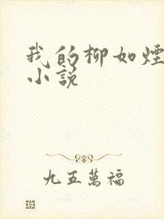 我的柳如烟妈妈小说