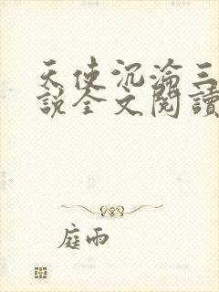 天使沉沦三部小说全文阅读