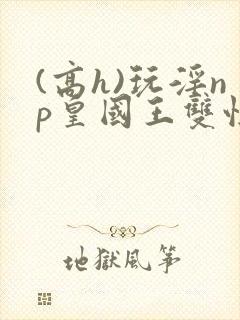 (高h)玩淫np皇国王双性