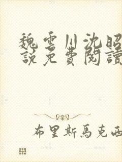 魏云川沈昭禾小说免费阅读笔趣阁