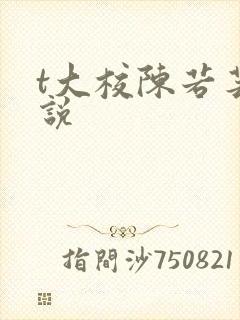 t大校陈若芸小说