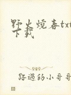 野火烧春txt下载