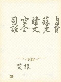 司空靖苏月汐小说全文免费阅读最新章节