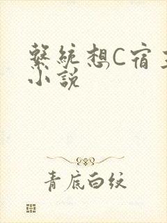 系统想C宿主的小说