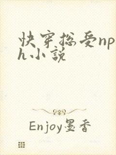 快穿总受np高h小说