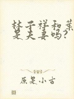 林子祥和叶倩文是夫妻吗?