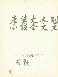 老婆大人别想逃小说全文免费阅读