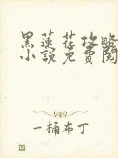 黑莲花攻略手册小说免费阅读全文