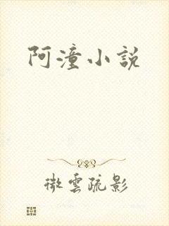 阿潼小说
