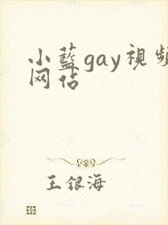 小蓝gay视频网站