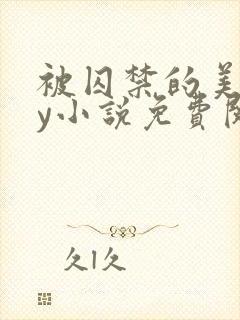 被囚禁的美人by小说免费阅读