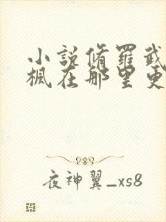 小说修罗武神楚枫在那里更新