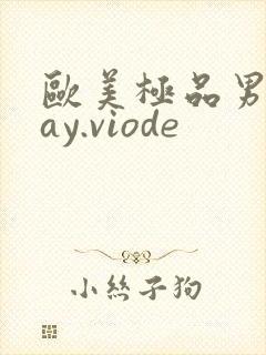 欧美极品男男gay.viode