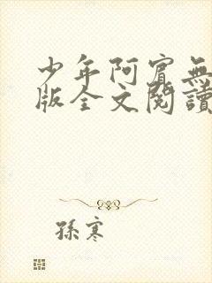 少年阿宾无删减版全文阅读