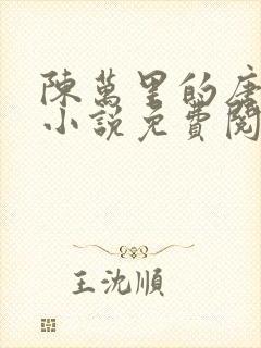 陈万里的唐嫣然小说免费阅读封面