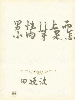 男性jj上面长小肉芽是怎么回事封面