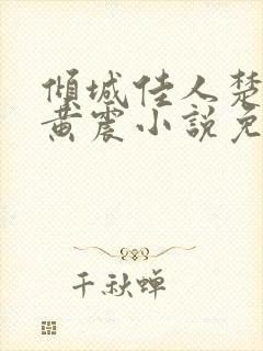 倾城佳人楚青丝黄震小说免费阅读封面