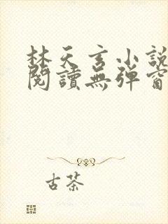 林天玄小说免费阅读无弹窗封面