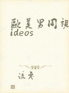 欧美男同视频videos