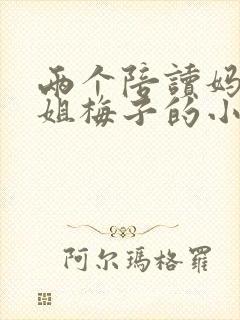 两个陪读妈妈赵姐梅子的小说封面