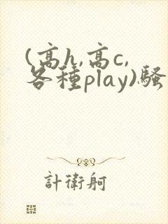 (高h,高c,各种play)骚话笔趣阁