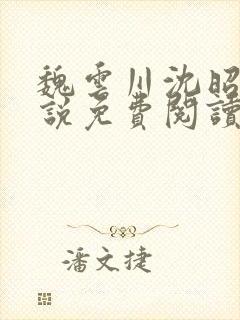 魏云川沈昭禾小说免费阅读笔趣阁