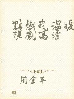 点燃我温暖你电视剧高清