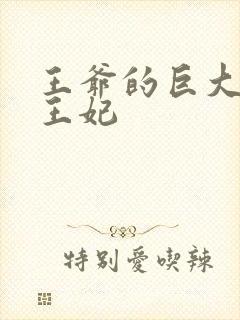 王爷的巨大进入王妃封面