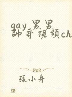 gay 男男 帅哥视频chinese
