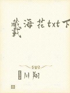 藏海花txt下载封面