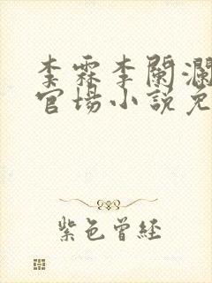 李霖李阑澜巅峰官场小说免费阅读