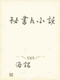 秘书h小说