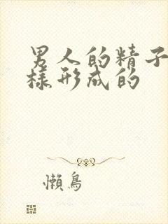 男人的精子是怎样形成的