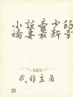 小说帝少的独宠娇妻最新章节