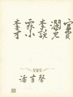 李霖李澜官场奇才小说免费阅读