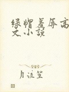 绿帽羞辱高辣h文小说封面