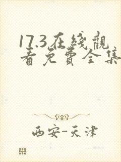 17.3在线观看免费全集电视剧封面