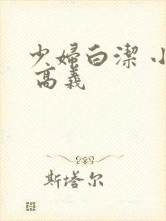 少妇白洁 小说 高义
