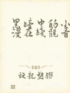 黑暗中的小鸟动漫在线观看封面