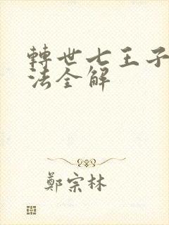 转世七王子的魔法全解封面