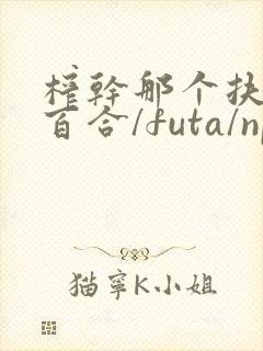 榨干那个扶她(百合/futa/np)最新章节_