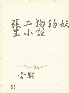 张二狗的妖孽人生小说封面