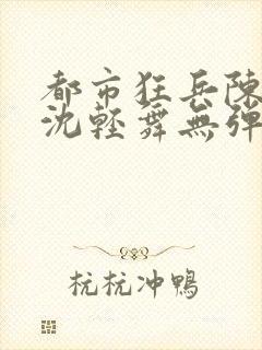 都市狂兵陈六何沈轻舞无弹窗