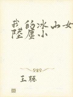 我的冰山女总裁陆尘小