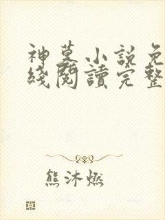 神墓小说免费在线阅读完整版