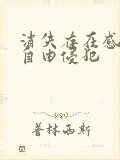 消失存在感消失自由侵犯