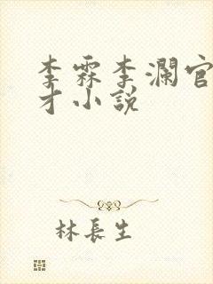 李霖李澜官场奇才小说