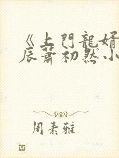 《上门龙婿》叶辰萧初然小说