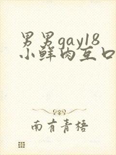 男男gay18小鲜肉互口
