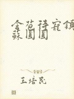 含苞待宠镇国公苏圆圆